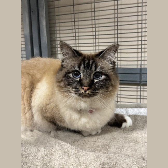 Photo of Jasmine