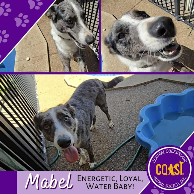 Photo of Mabel