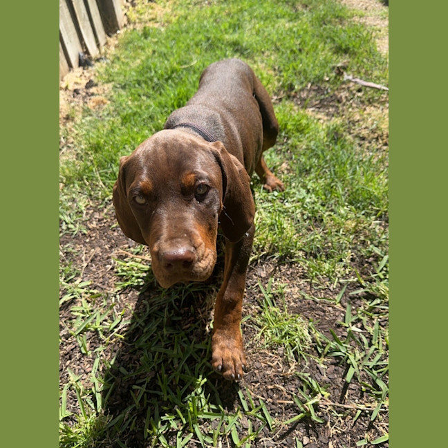 Photo of Max (Was Harry)
