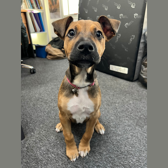 Photo of Matilda