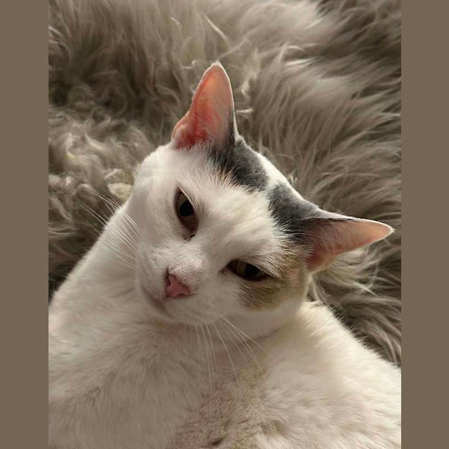 Photo of Angel