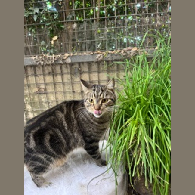 Photo of Monty