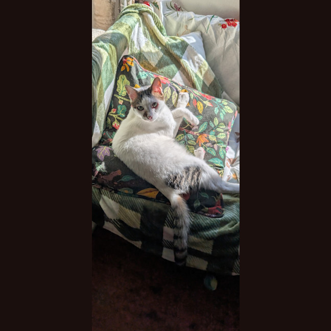 Photo of Gus