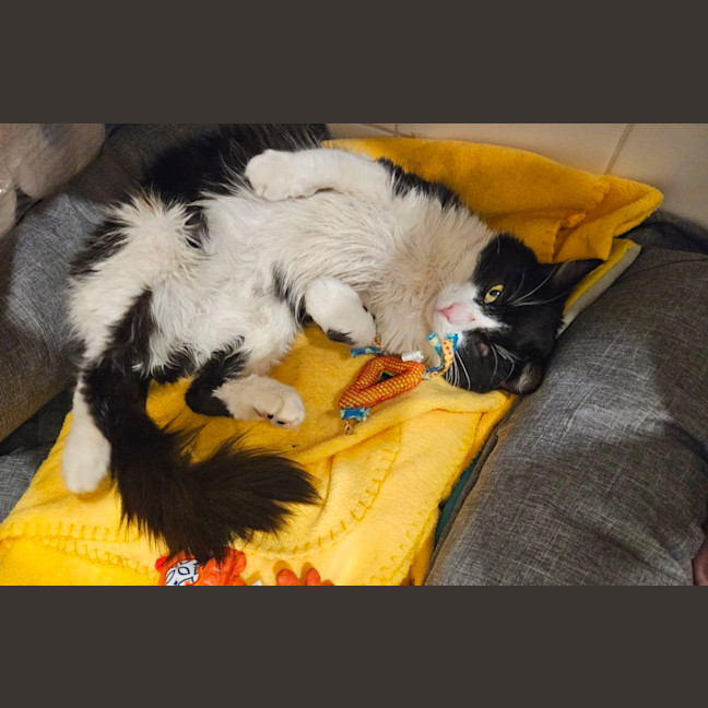 Photo of Dudley Kumara