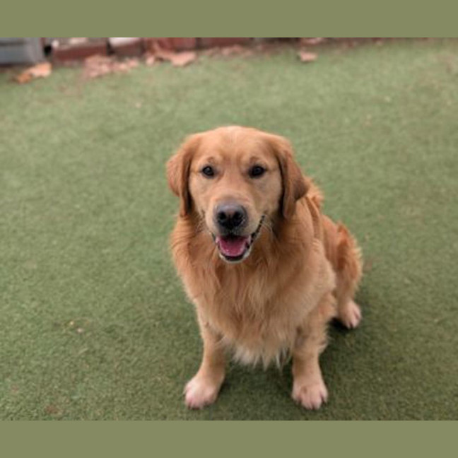 Photo of Charlie