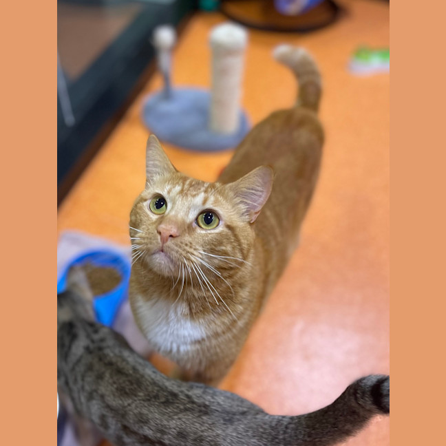Photo of Butters