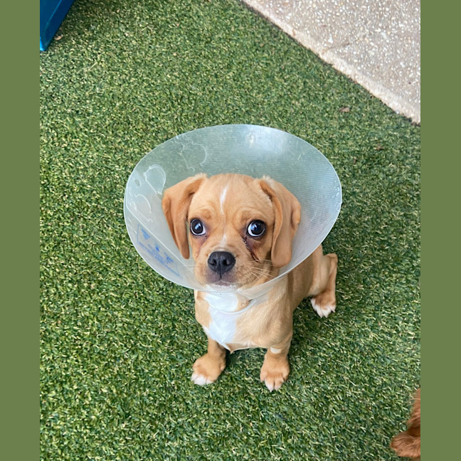 Photo of Charlie