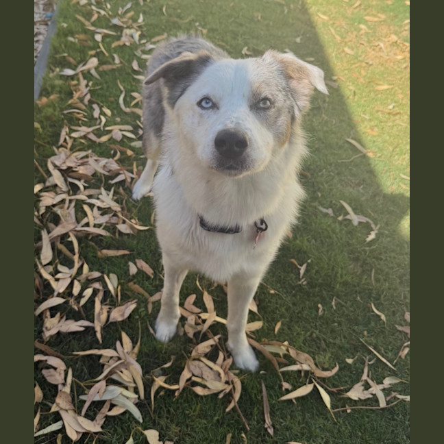 Photo of Zeus 