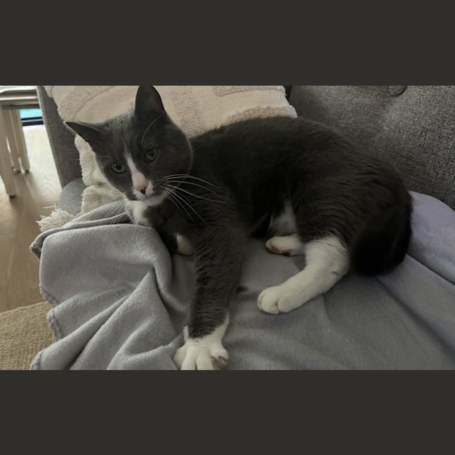 Photo of Bruce
