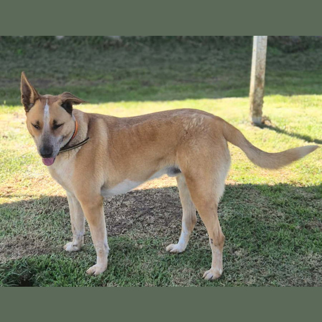 Photo of Razor