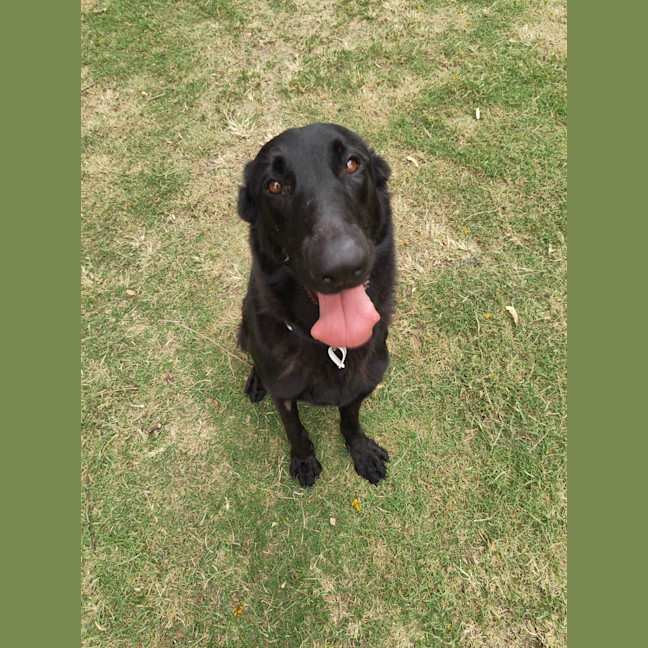 Photo of Nyla