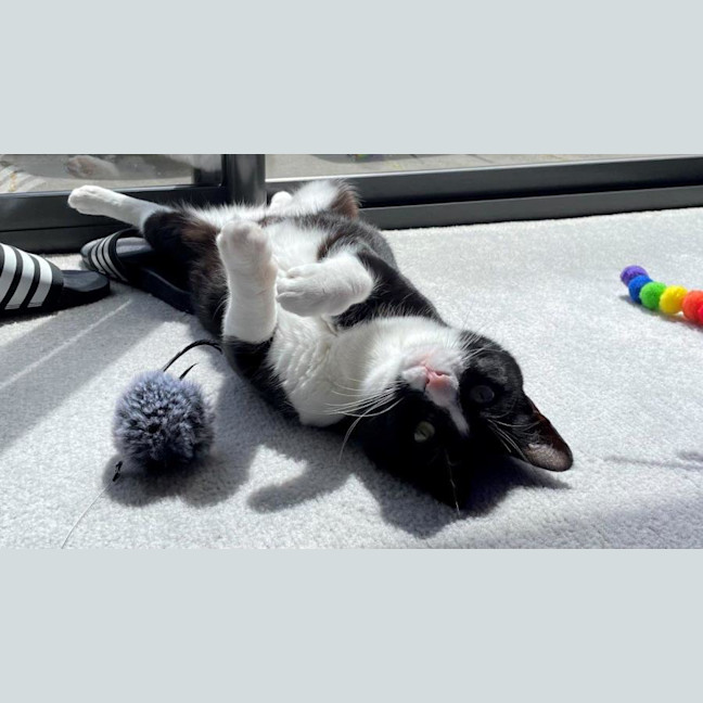 Photo of Penelope Babbington