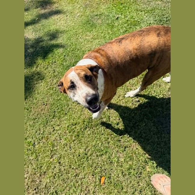 Photo of Roxie