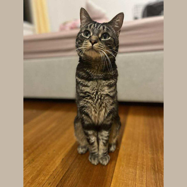 Photo of Jeff   In Foster Care In Doncaster East