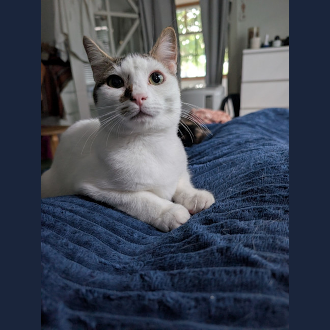 Photo of Gus
