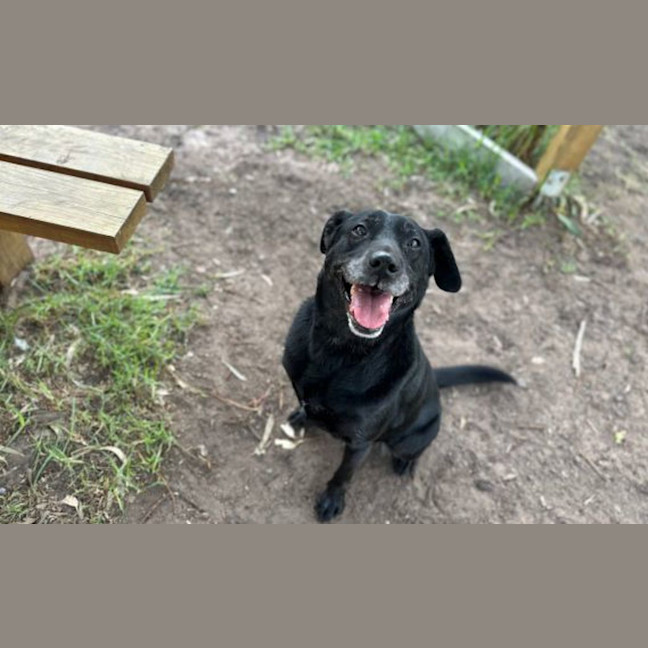 Photo of Bonnie