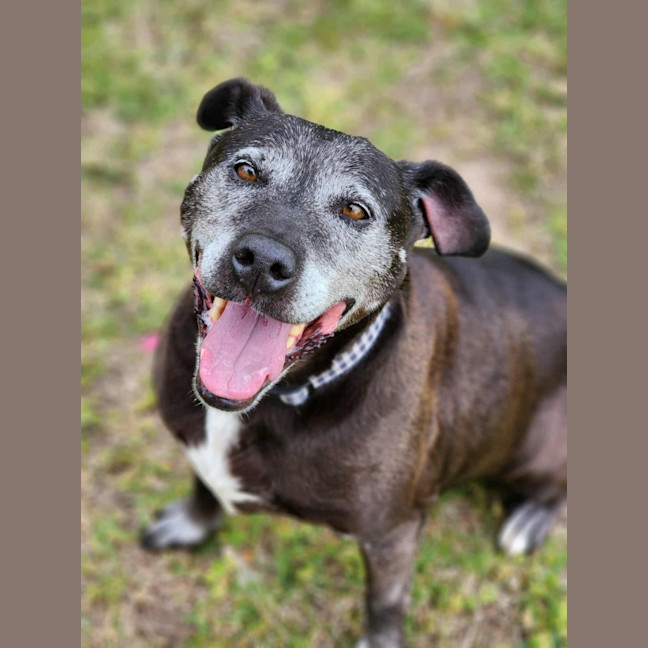 Photo of 🐻 Buster 6375 🐻