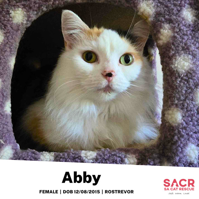 Photo of Abby