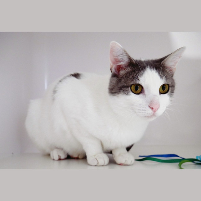 Photo of Minna Suk013618