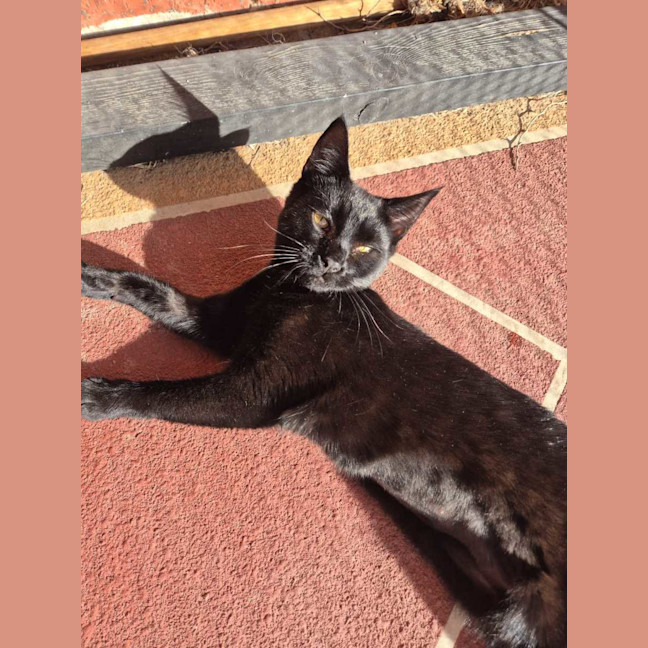 Photo of Velma