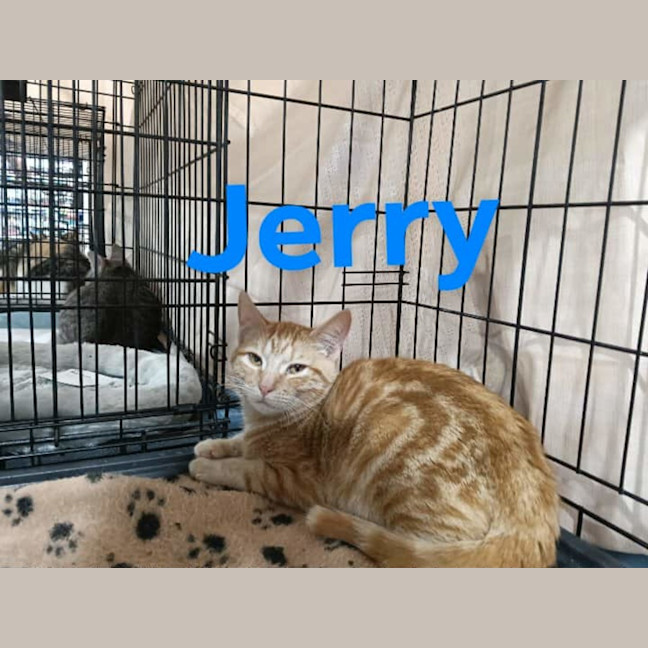 Photo of Jerry❤️