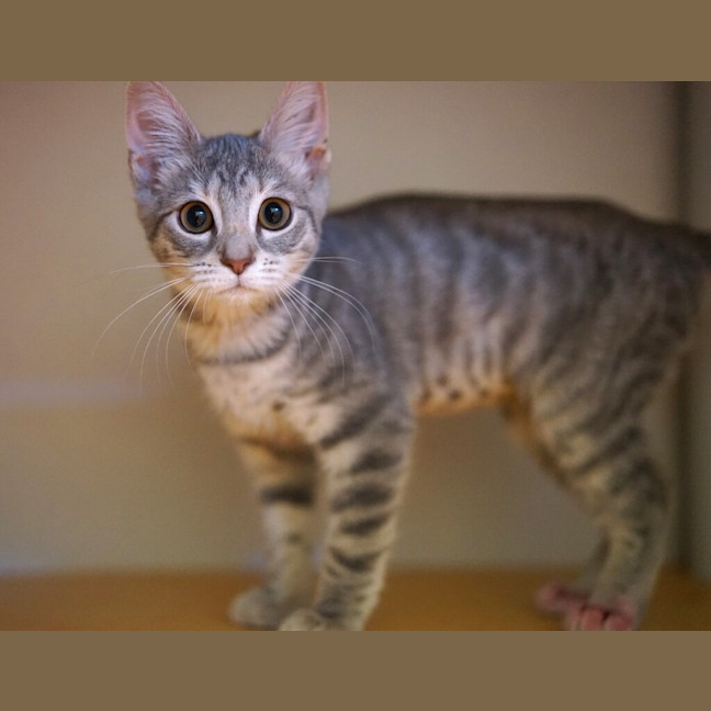 Photo of Tabitha