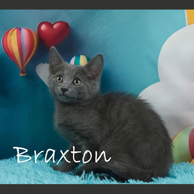 Photo of Braxton