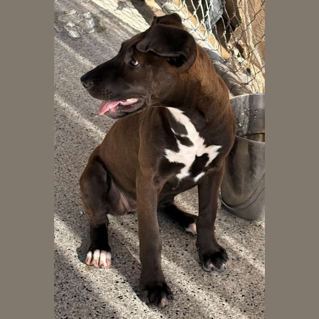 Photo of Nellie