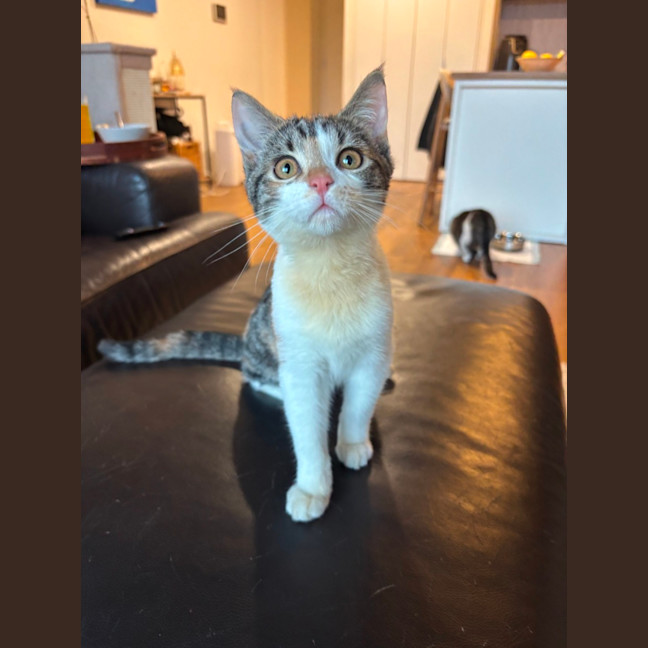 Photo of Kimchi
