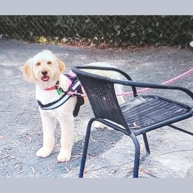 Photo of Maggie