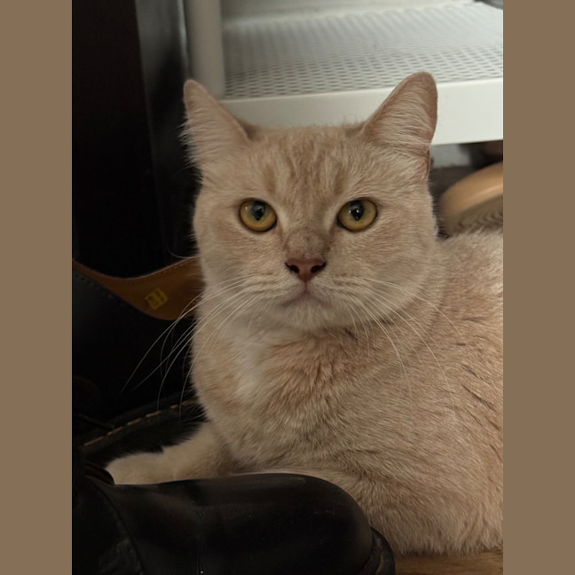 Photo of Sunny