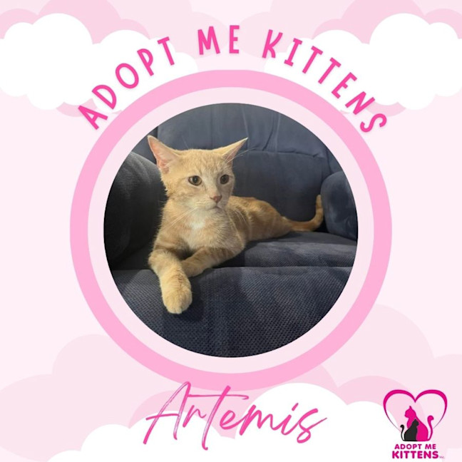 Photo of Artemis