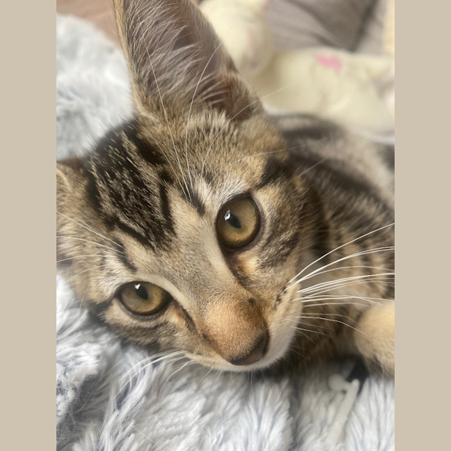 Photo of Tig Sanderson