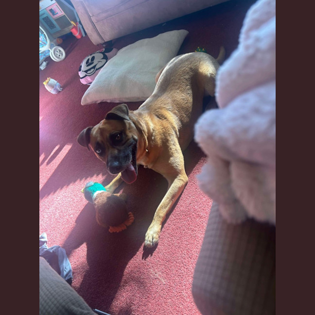 Photo of Narla