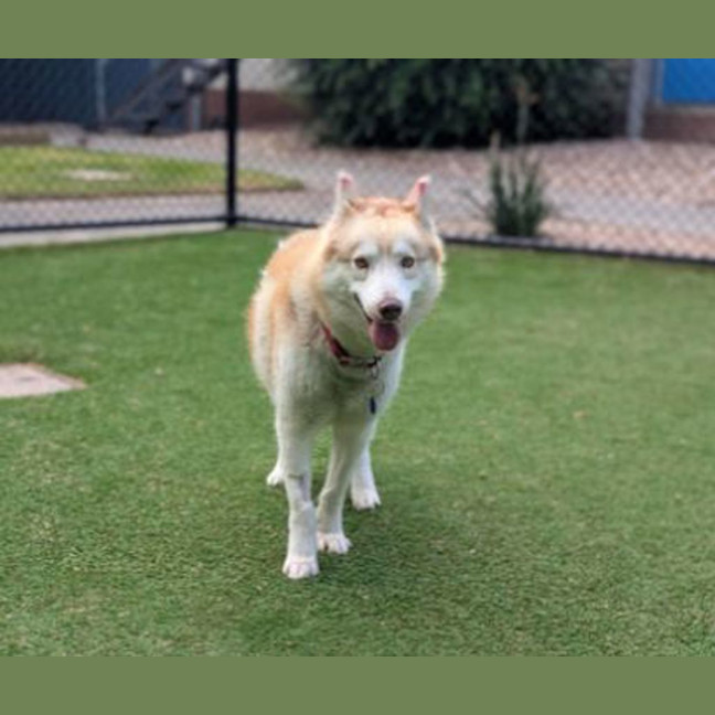 Photo of Suko