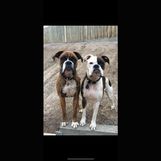 Photo of Leo And Harley