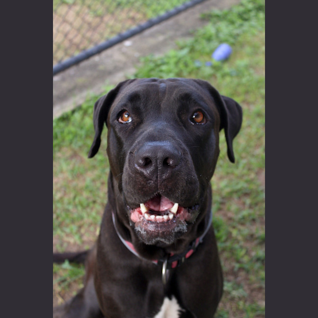 Photo of Bindi