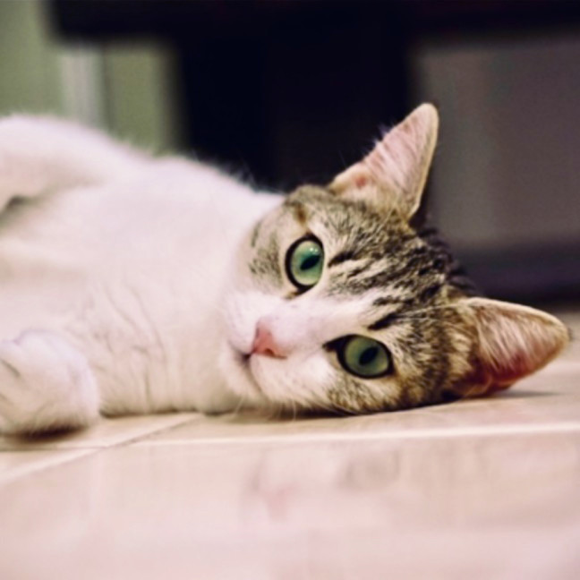 Photo of 🌷 Mia 🌷