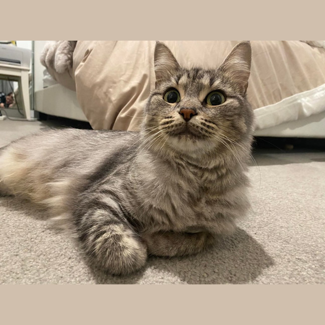 Photo of Cleopatra 