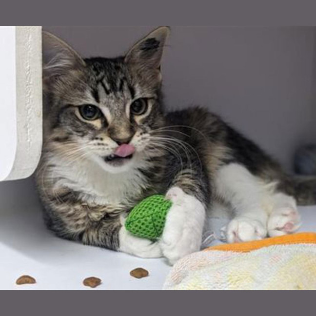 Photo of Empress Wrecking Ball