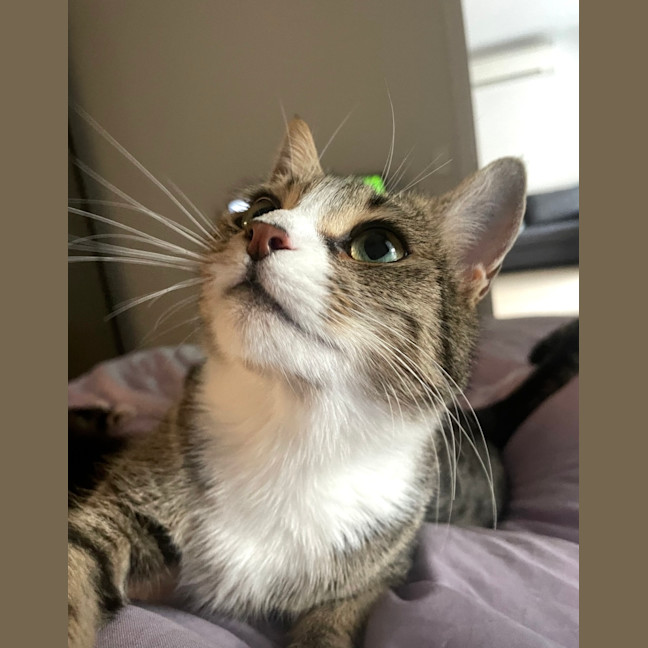 Photo of Kaiya