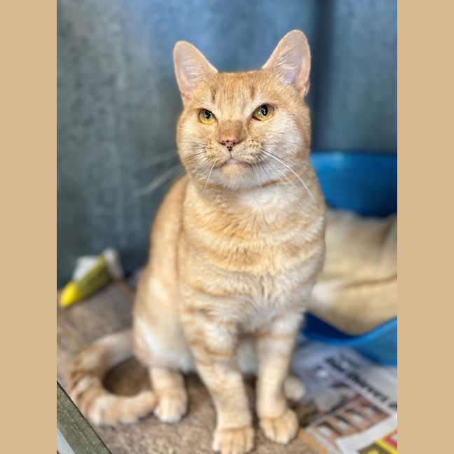 Photo of Ernie