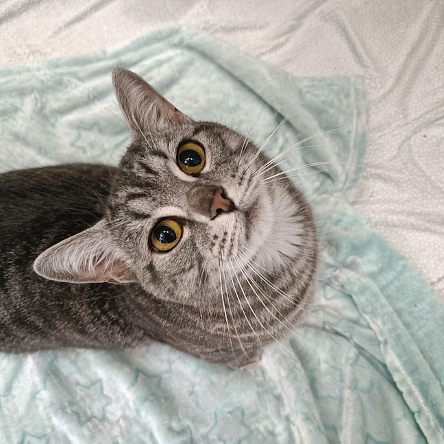 Photo of Tom
