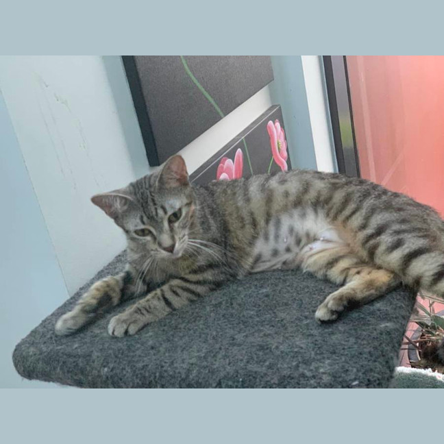 Photo of Ellie (Eleanor)