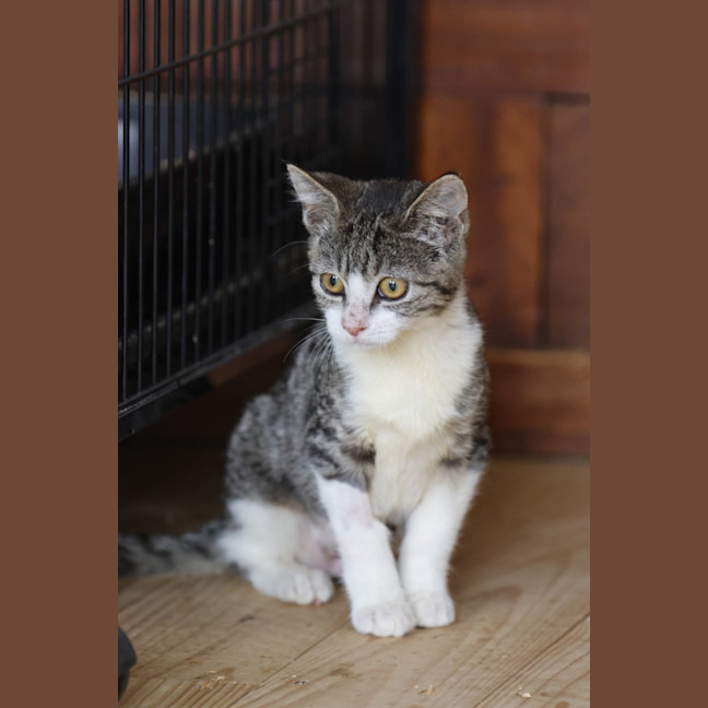 Photo of 💖💖💖Sage, T1 And W💖💖💖