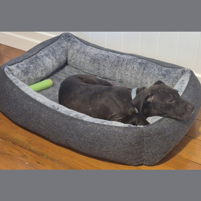 Photo of Maggie
