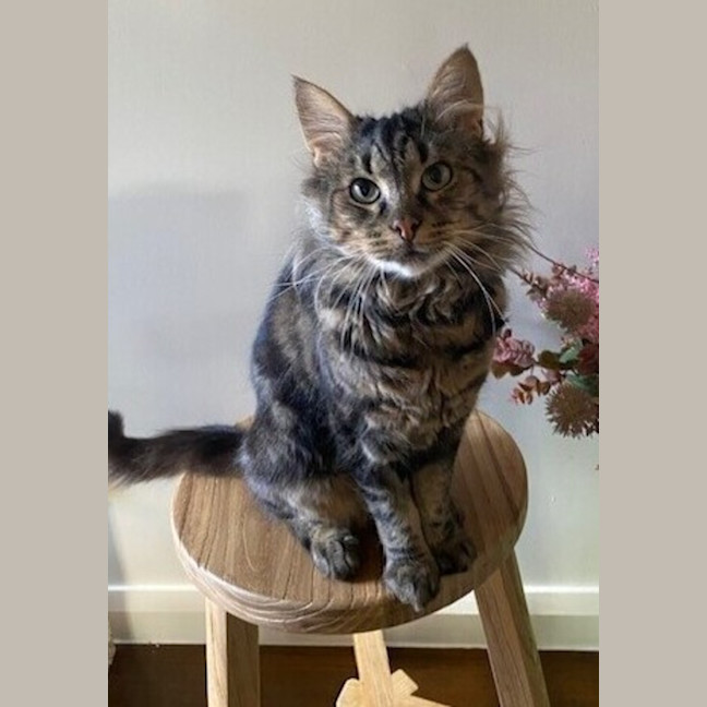 Photo of Laszlo