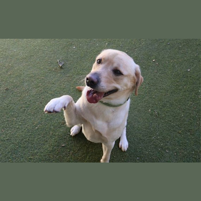 Photo of Charlie