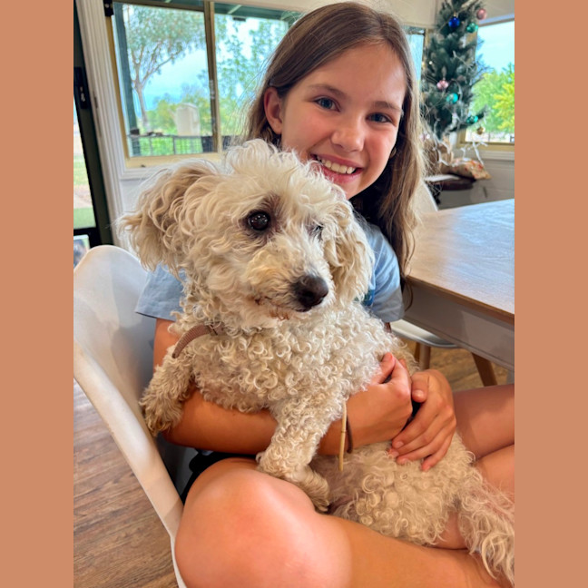 Photo of Beau (Beau And Angel) 