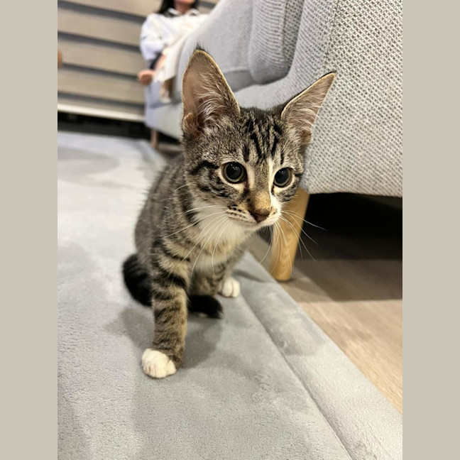 Photo of Bingo